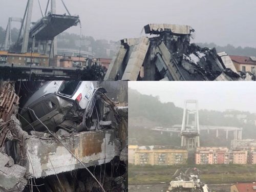Crolla Ponte Morandi a Genova, Alberto Pallotti (A.I.F.V.S.): “Governo abbia forza di prevenire, basta morti sulle strade”